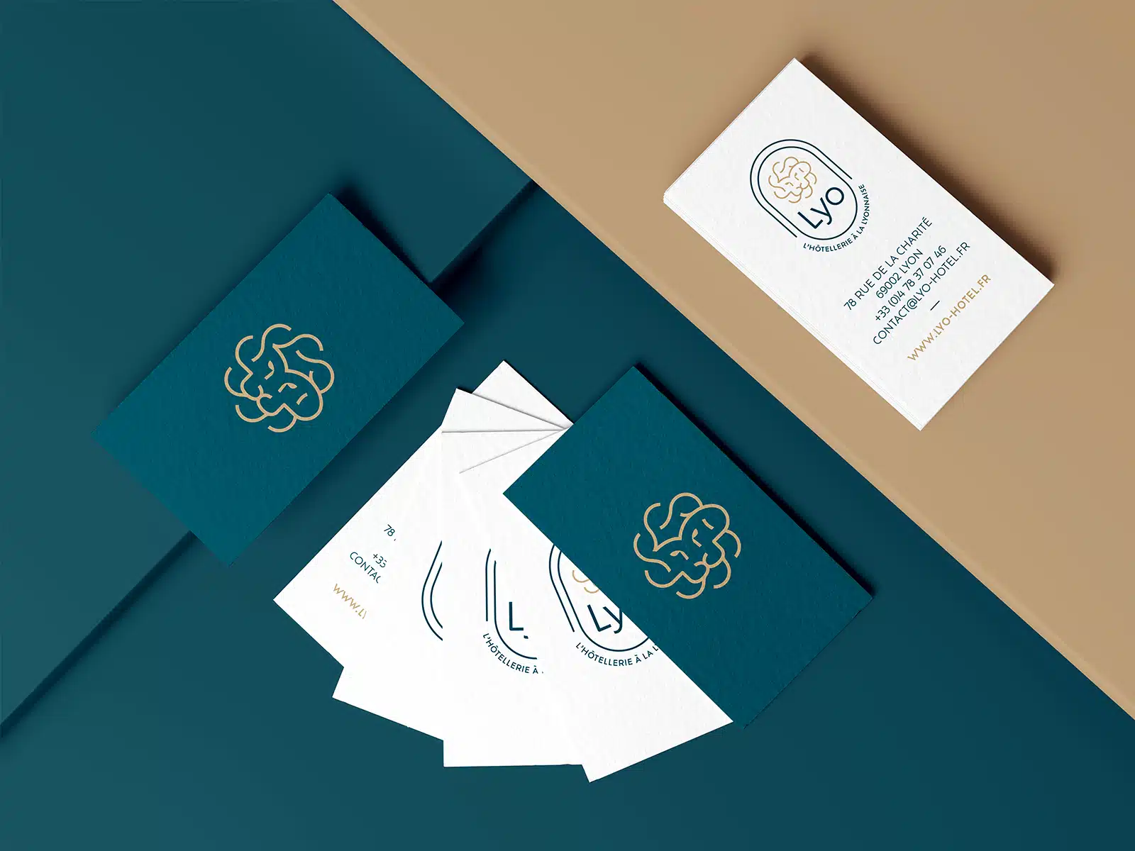 portfolio-Lyo-1